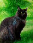 Black cat, acrylic on canvas